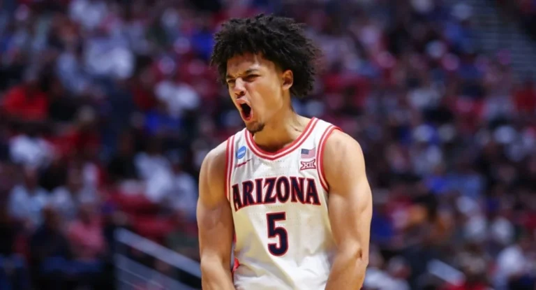 Brayden Burries: O Talentoso Ala-Armador de Arizona na Rota do NBA Draft 2026