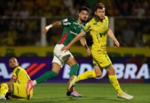 Brasileirão: Palmeiras empata, Flamengo cola na liderança