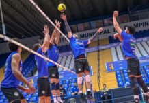 Vôlei Renata estreia hoje no Paulista contra Sil/Guarulhos